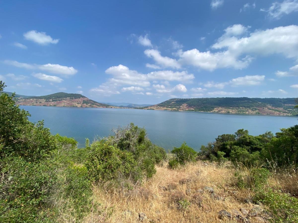 Domaine Maxxim Ξενοδοχείο Clermont-lʼHérault Εξωτερικό φωτογραφία